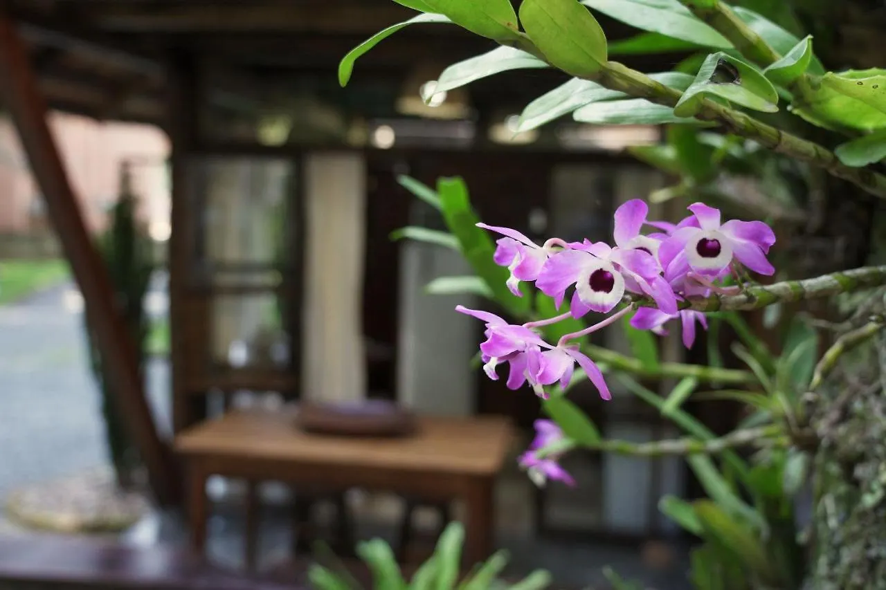 Guest house Sitio Urbano A Apenas 1,5 Km Do Centro Hotel Blumenau